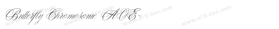 Butterfly Chromosome AOE字体转换